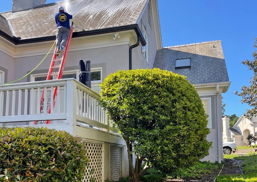 Roof being soft washed from a ladder